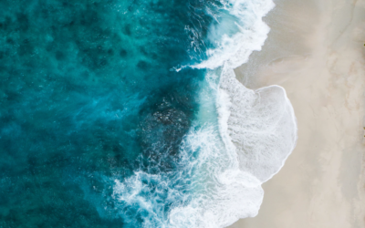 #UUSINORMAALI: Miten käy ilmastomuutoksen torjunnan koronakriisissä?