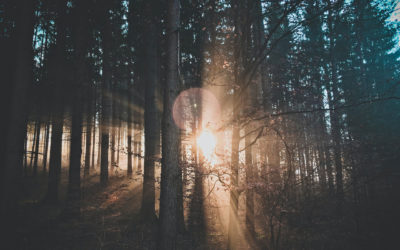 #Uusinormaali on jo täällä