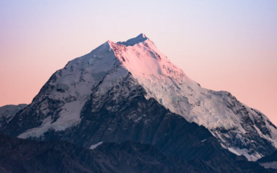 Vetäjämme Emilia Valtola markkinoinnin tuloksellisuutta mittaavaan Effie -tuomaristoon